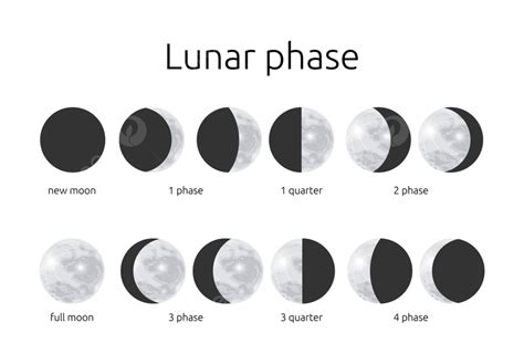 Half And Circle Moon Phases Cosmic Full Round Png And Vector With