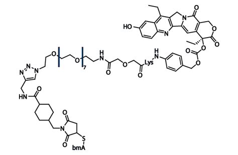 Sacituzumab govitecan 99 HPLC Selleck ADC Cytotoxin 阻害剤