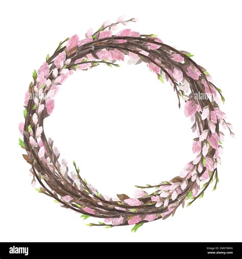 Wreath Watercolor With Pink Pussy Willow Spring Twigs Green Leaves Isolated On White