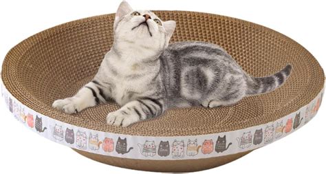 Moonyan Planche Gratter Pour Chat Griffoir Pour Chat Grattoir