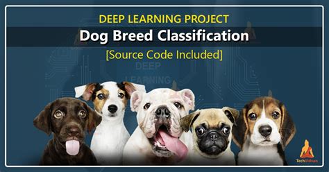 Dog’s Breed Identification using Deep Learning - TechVidvan