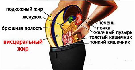 Система жира