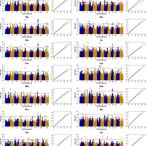 The Manhattan And QQ Plots From The Genome Wide Haplotype Association