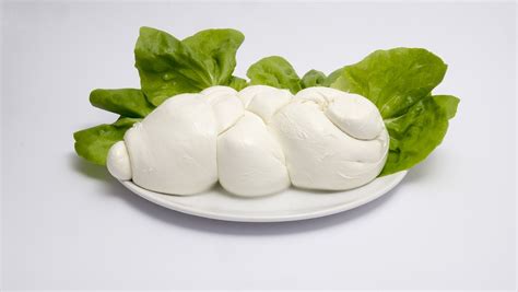 Buffalo Mozzarella: The Richest Dairy Experience – Recette Magazine