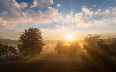 Morning Fog Sunrise Trees Wallpaper Nature And Landscape