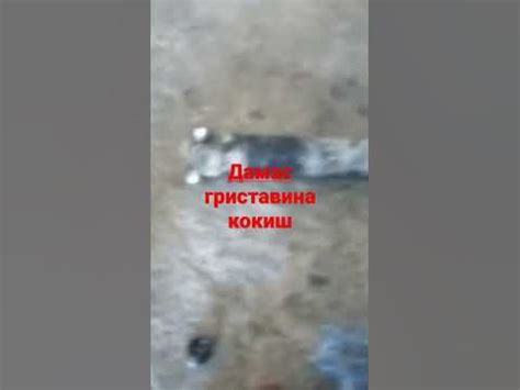 дамас криставина кокиш - YouTube