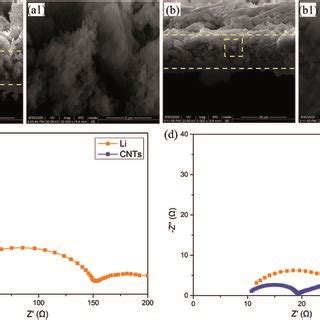 Cross Sectional SEM Images Of The CNT Ag Li Electrode Before A And A1