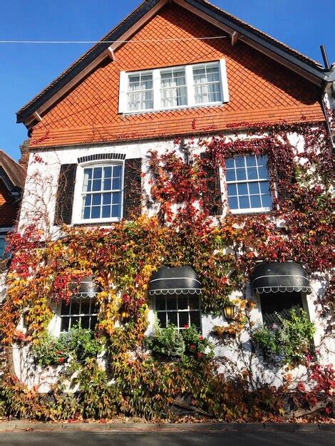 Premium Photo Low Angle View Of Ivy Growing On House