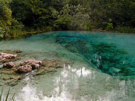 Springs in Florida | Florida Hikes!