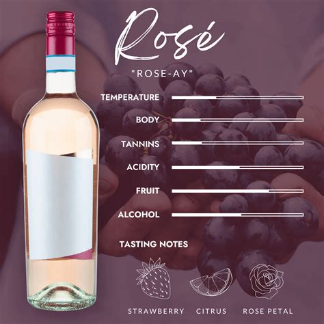 The Essential Guide To Rosé An Underrated Wine Style To Know And Love