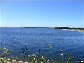 Abberton Reservoir Nature Reserve, Colchester, Essex.