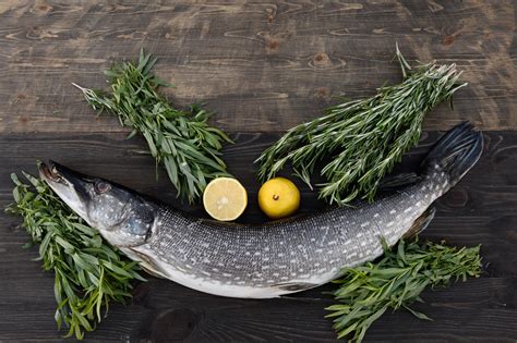 Recette De Brochet à La Crème