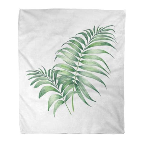 Kdagr Throw Blanket X Inches Colorful Tropical Tropic Palm Leaves