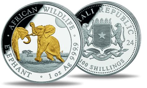 Somalia Shilling Elefant African Wildlife Mit