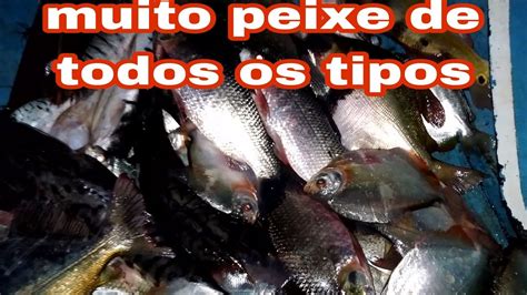 Pescaria No Amazonas Muito Peixe Nessa Pescaria Youtube