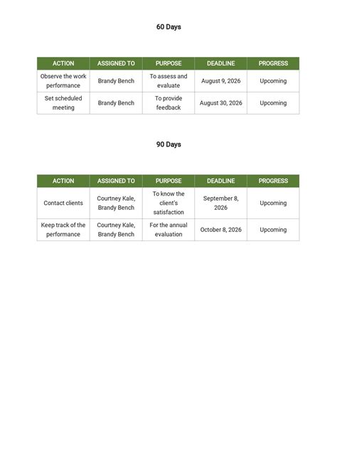 Day New Hire Plan Template