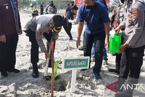 Polres Bangka Tanam Pohon Di Lokasi Eks Tambang ANTARA News Bangka