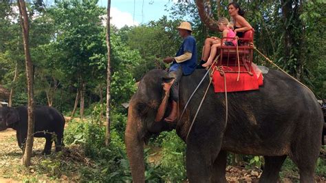 Elephant Trekking And Waterfall Khao Lak Tours Khao Lak Discoveries