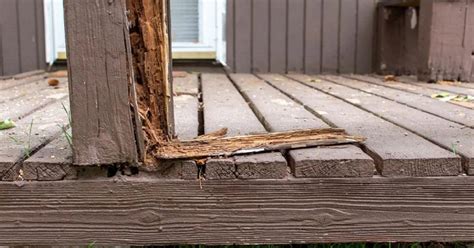 How To Fix Rotted Wood A Diy Guide