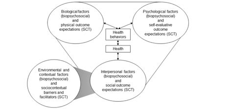 Conceptual Model For The Multicomponent Telehealth Program Sct Social