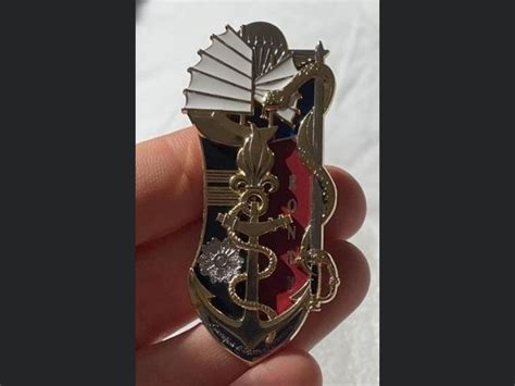 A Person Is Holding A Brooch In Their Left Hand And It Has An Arrow On It