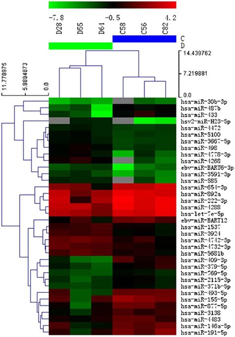 Heat Map Of Microrna Mirna Microarray Expression Data From Plasma Download Scientific Diagram