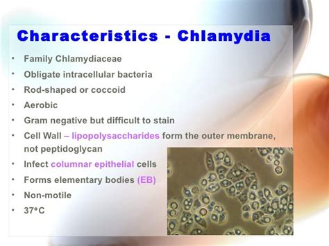 Chlamydia