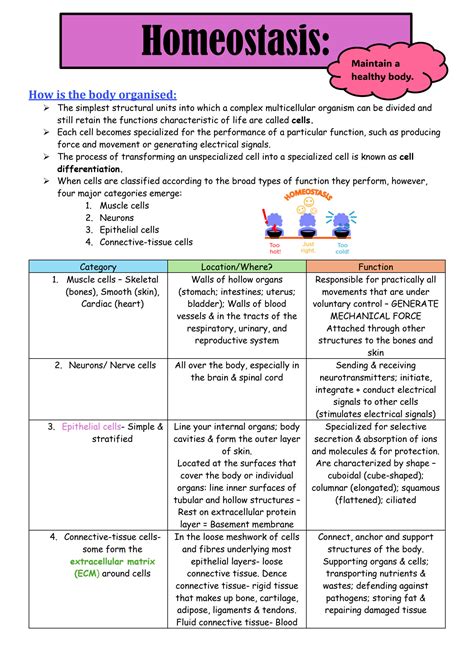 Solution Homeostasis Physiology Flgx Studypool