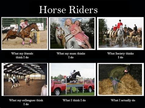 Here We Go Horse Jokes Horse Quotes Equestrian Memes