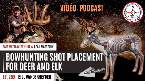 Bowhunting Shot Placement For Deer And Elk W Bill Vanderheyden East