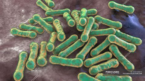 Corynebacterium diphtheriae illustrazione al computer C difteriae è