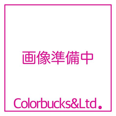 アネスト岩田 93506920 ノズルニードルASSY14HD WS-400-1401 HD専用ノズルニードルセット :93506920 ...