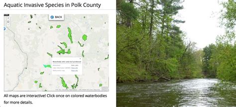 Aquatic Invasive Species In Polk County Mapasyst