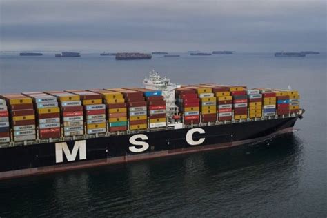 Msc Supera A Maersk Y Se Convierte En Mayor Naviera De Contenedores Del Mundo Diario Financiero