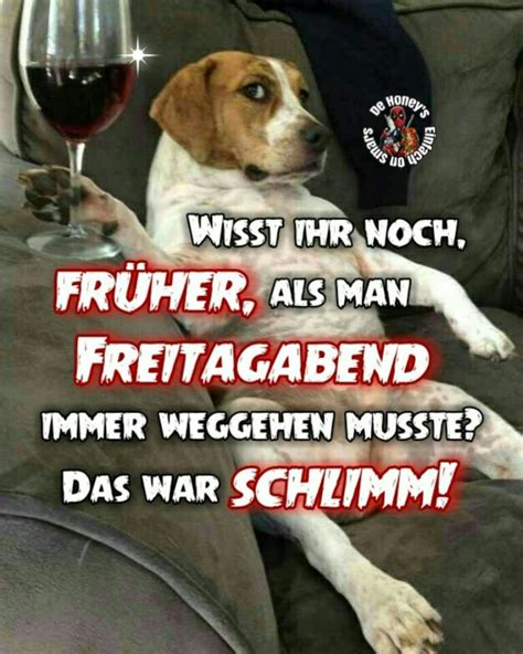 Freitag Lustig Lustige Tiere Freitag Lustig Lustig Wochenende Lustig