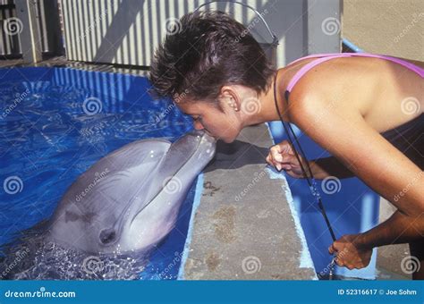 Dolphin Training At Six Flags Magic Mountain Editorial Photo