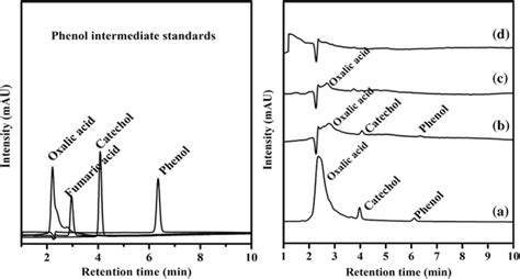 Hplc Chromatogram Of Phenol Conversion And Its Intermediates At A 15 B Download Scientific