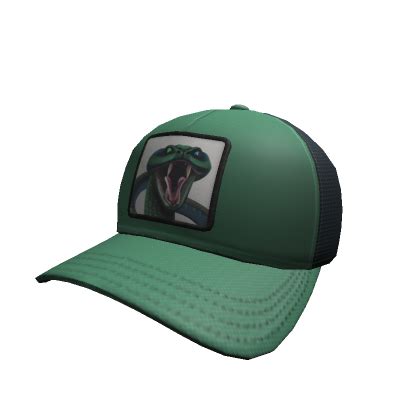 Graphic Trucker Cap Roblox Item Rolimon S