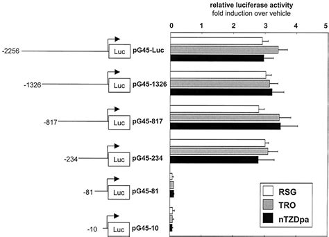 Regulation Of The Growth Arrest And DNA Damage Inducible Gene 45