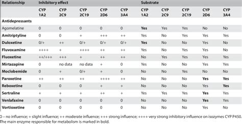 Metabolism Of Antidepressants And Their Influence On Liver Enzymes Download Scientific Diagram