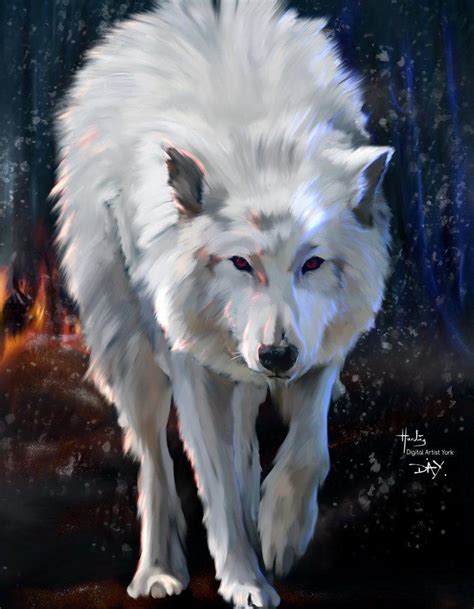 Game of Thrones Dire Wolf Wallpapers - Top Free Game of Thrones Dire ...