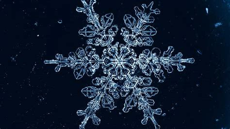 Have You Ever Seen Inside A Snowflake? - Videos from The Weather Channel