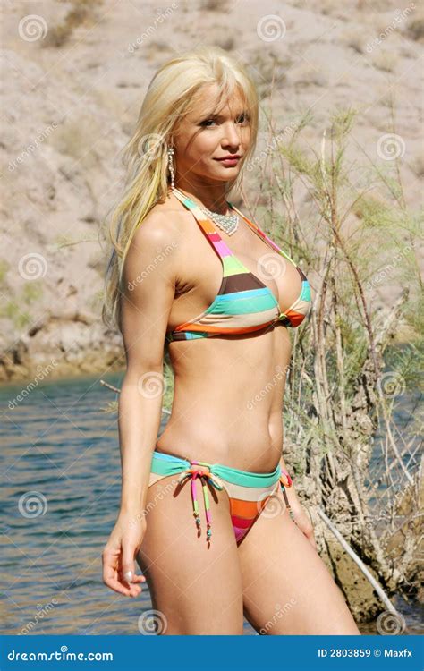 Reizvolle Blonde Frau Stockbild Bild Von Meer Sommer