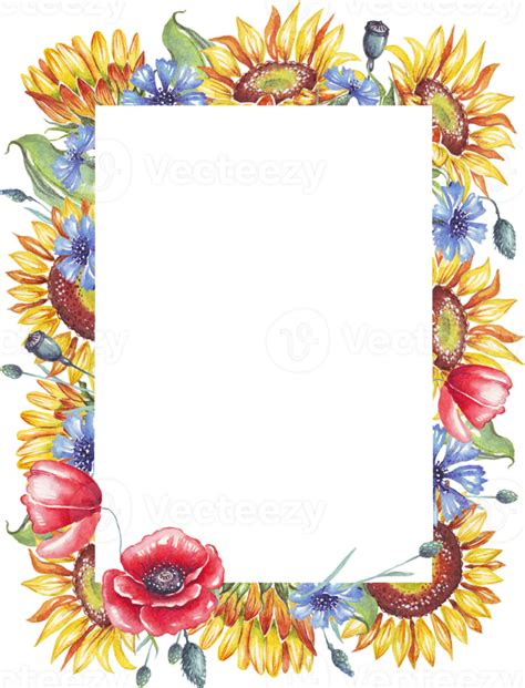 Frame Watercolor Sunflowers Cornflowers And Poppies 21463073 Png