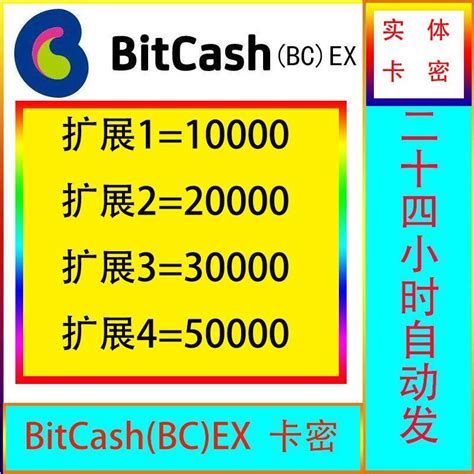 日本bitcash Bx充值卡：购物狂人的终极福利！10000200003000050000点券自动发货，让你买不停！ 任天堂eshop