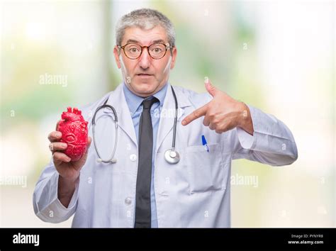 Handsome Senior Cardiologist Doctor Man Holding Heart Over Isolated