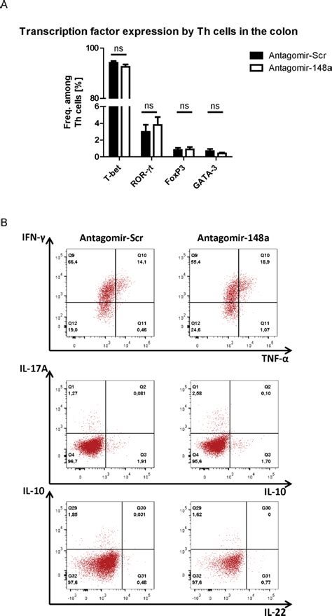 Selective Targeting Of Pro Inflammatory Th1 Cells By Microrna 148a Specific Antagomirs In Vivo