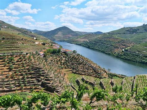 Complete Guide To The Douro Valley Wine Region Northern Portugal