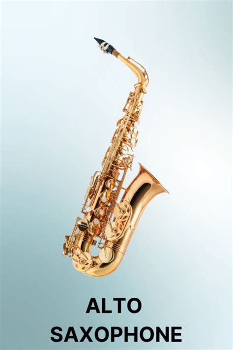 Alto Saxophone Reeds