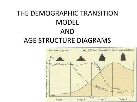 The Demographic Transition Model And Age Structure Diagrams Ppt Download